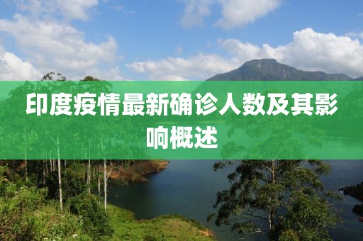 印度疫情最新确诊人数及其影响概述
