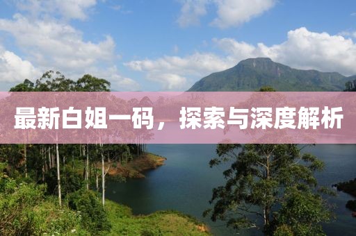 最新白姐一码，探索与深度解析