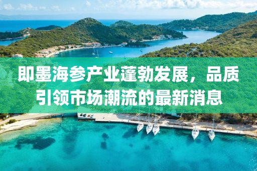 即墨海参产业蓬勃发展，品质引领市场潮流的最新消息
