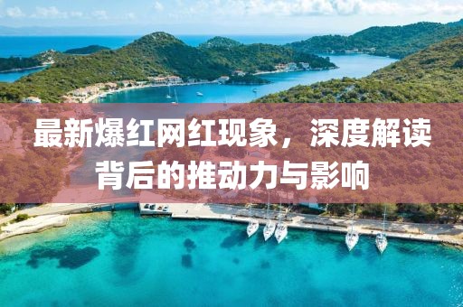 最新爆红网红现象，深度解读背后的推动力与影响