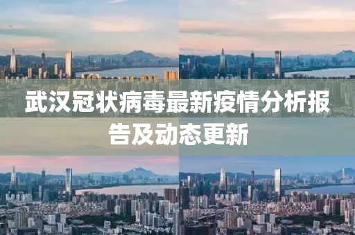 武汉冠状病毒最新疫情分析报告及动态更新
