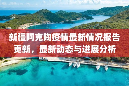 新疆阿克陶疫情最新情况报告更新，最新动态与进展分析