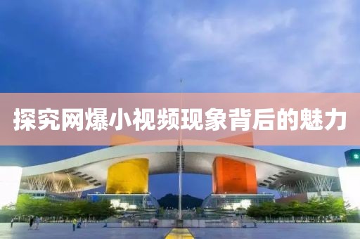 探究网爆小视频现象背后的魅力