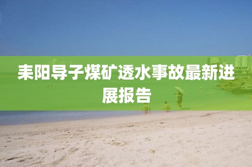 耒阳导子煤矿透水事故最新进展报告