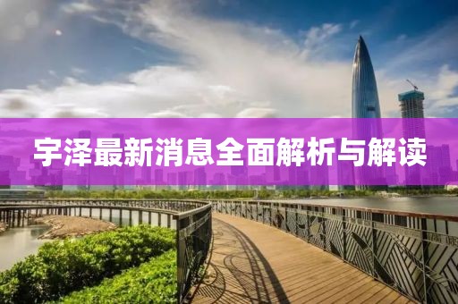 宇泽最新消息全面解析与解读