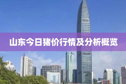 山东今日猪价行情及分析概览
