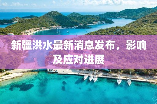 新疆洪水最新消息发布，影响及应对进展