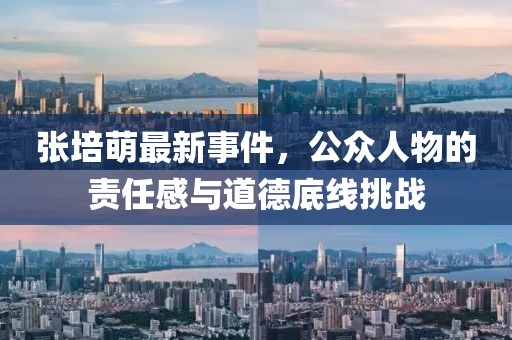 张培萌最新事件，公众人物的责任感与道德底线挑战
