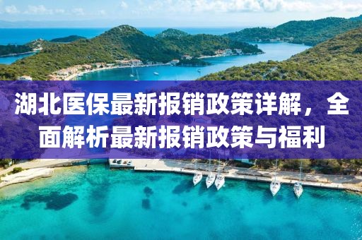 湖北医保最新报销政策详解，全面解析最新报销政策与福利