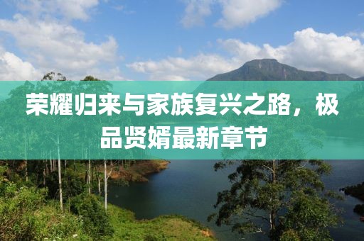 荣耀归来与家族复兴之路，极品贤婿最新章节
