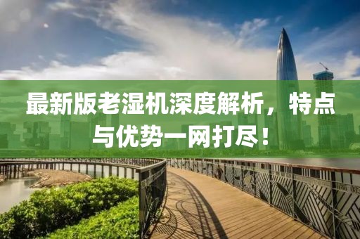 最新版老湿机深度解析，特点与优势一网打尽！