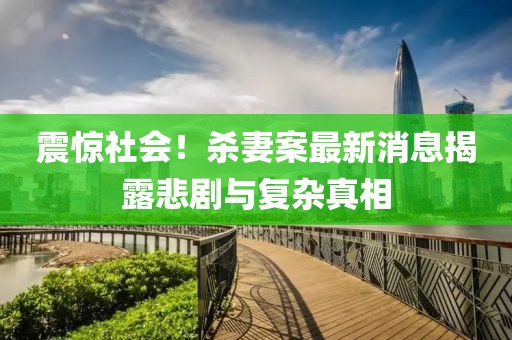 震惊社会！杀妻案最新消息揭露悲剧与复杂真相