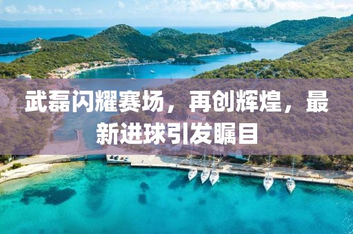 武磊闪耀赛场，再创辉煌，最新进球引发瞩目