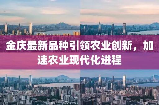金庆最新品种引领农业创新，加速农业现代化进程