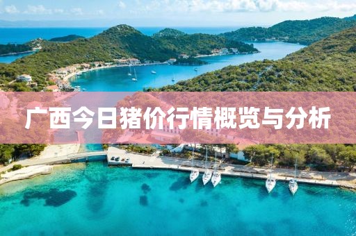 广西今日猪价行情概览与分析