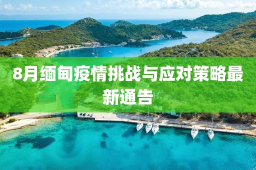 8月缅甸疫情挑战与应对策略最新通告
