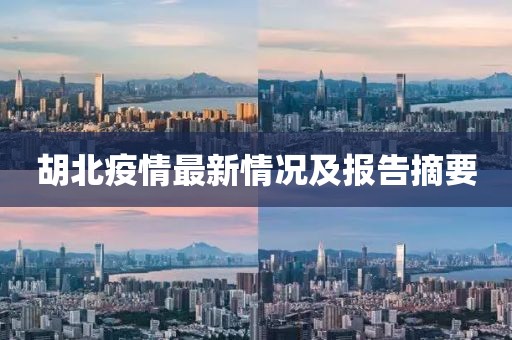 胡北疫情最新情况及报告摘要
