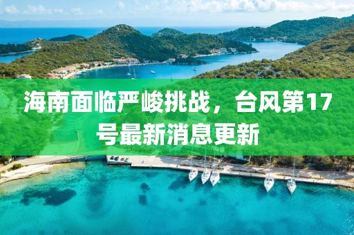 海南面临严峻挑战，台风第17号最新消息更新
