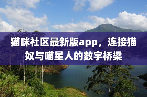猫咪社区最新版app，连接猫奴与喵星人的数字桥梁