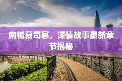 南栀慕司寒，深情故事最新章节揭秘