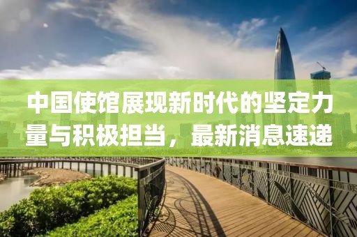 中国使馆展现新时代的坚定力量与积极担当，最新消息速递