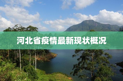 河北省疫情最新现状概况