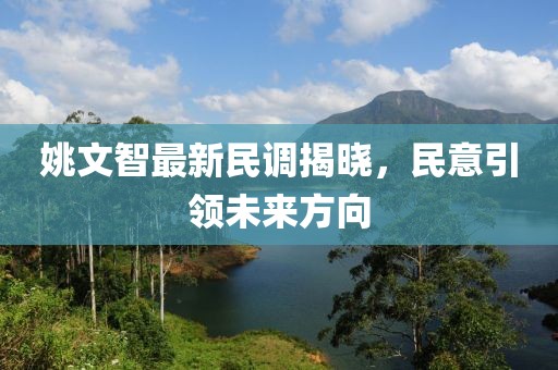 姚文智最新民调揭晓，民意引领未来方向
