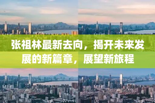 张祖林最新去向，揭开未来发展的新篇章，展望新旅程