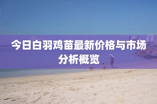 今日白羽鸡苗最新价格与市场分析概览