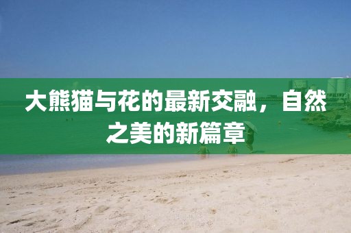 大熊猫与花的最新交融，自然之美的新篇章