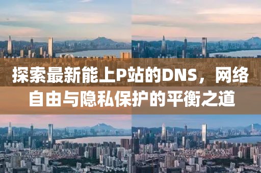 探索最新能上P站的DNS，网络自由与隐私保护的平衡之道
