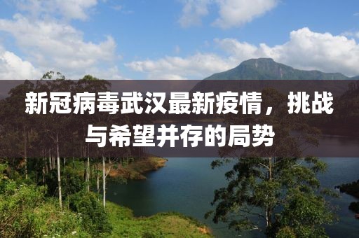 新冠病毒武汉最新疫情，挑战与希望并存的局势