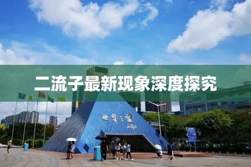 二流子最新现象深度探究