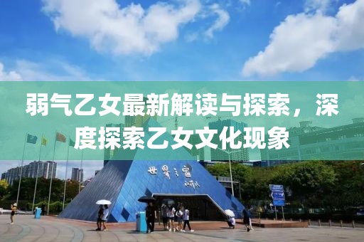 弱气乙女最新解读与探索，深度探索乙女文化现象