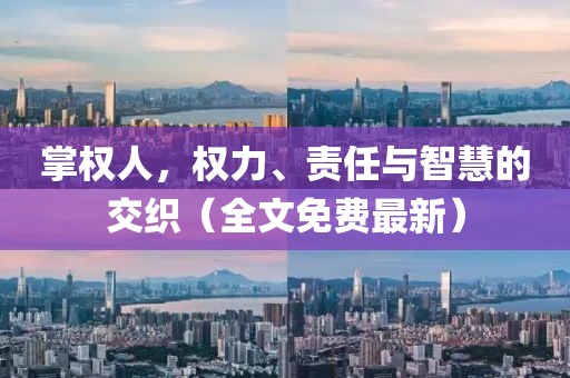 掌权人，权力、责任与智慧的交织（全文免费最新）