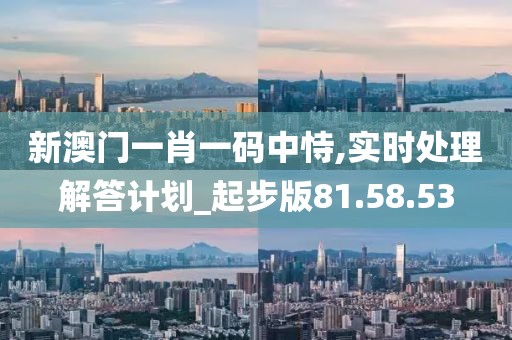 新澳门一肖一码中恃,实时处理解答计划_起步版81.58.53