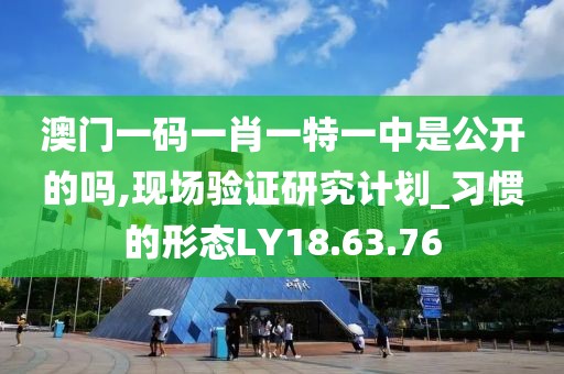 澳门一码一肖一特一中是公开的吗,现场验证研究计划_习惯的形态LY18.63.76