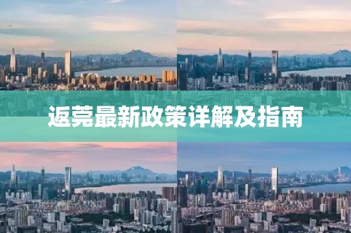返莞最新政策详解及指南