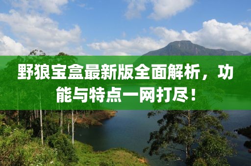 野狼宝盒最新版全面解析，功能与特点一网打尽！