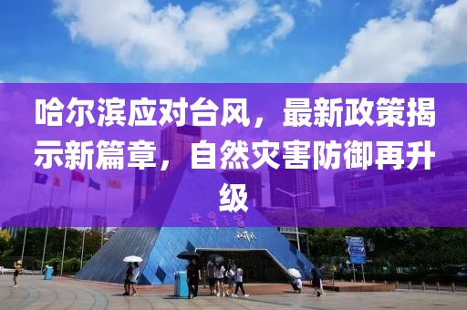 哈尔滨应对台风，最新政策揭示新篇章，自然灾害防御再升级