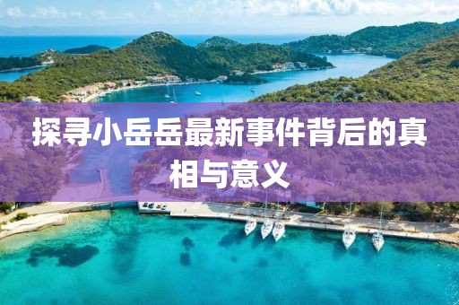 探寻小岳岳最新事件背后的真相与意义