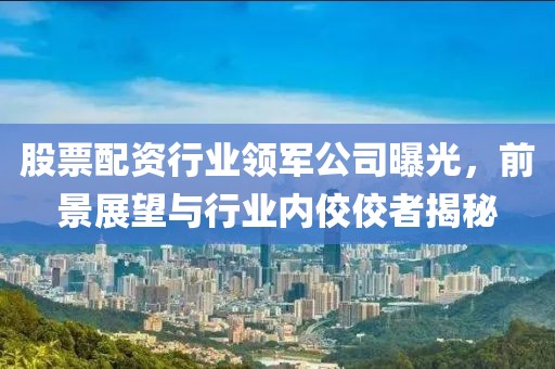 股票配资行业领军公司曝光，前景展望与行业内佼佼者揭秘