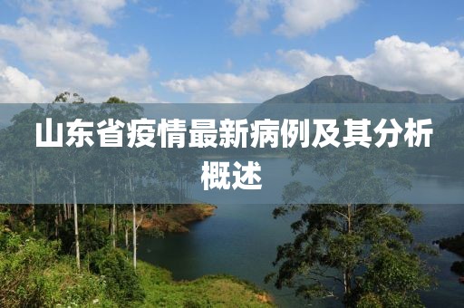山东省疫情最新病例及其分析概述
