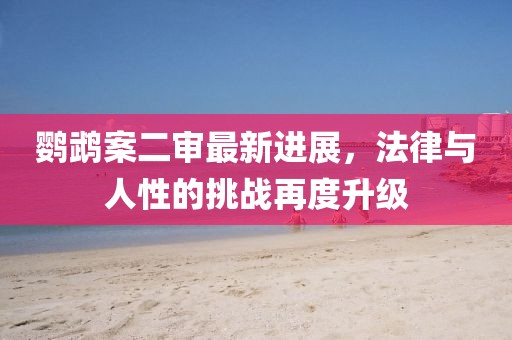 鹦鹉案二审最新进展，法律与人性的挑战再度升级