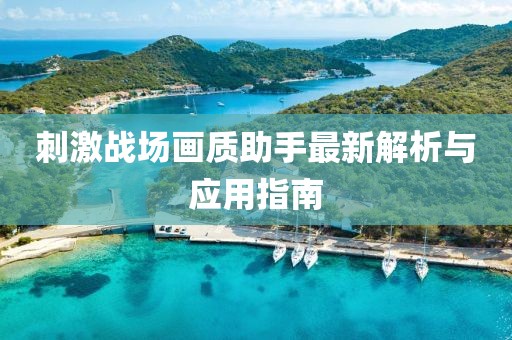 刺激战场画质助手最新解析与应用指南