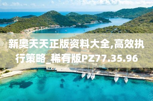 新奥天天正版资料大全,高效执行策略_稀有版PZ77.35.96