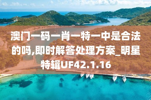 澳门一码一肖一特一中是合法的吗,即时解答处理方案_明星特辑UF42.1.16