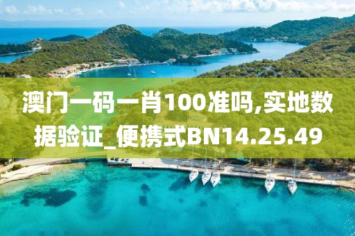 澳门一码一肖100准吗,实地数据验证_便携式BN14.25.49