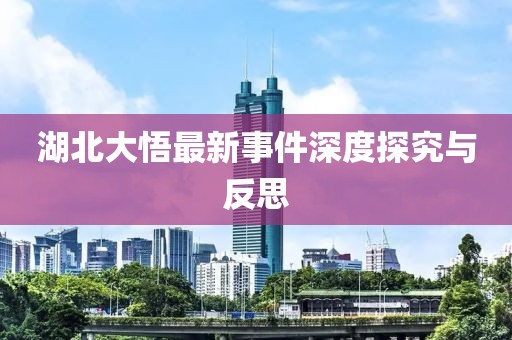 湖北大悟最新事件深度探究与反思