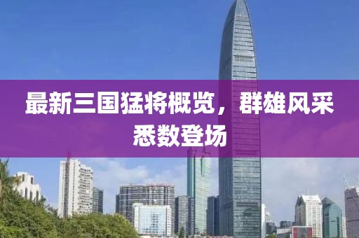 最新三国猛将概览，群雄风采悉数登场